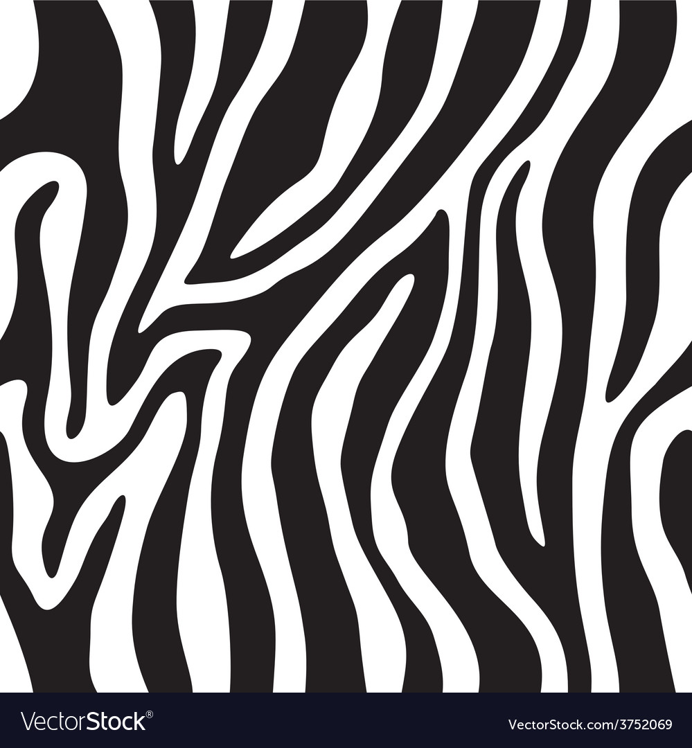 Zebra pattern Royalty Free Vector Image - VectorStock