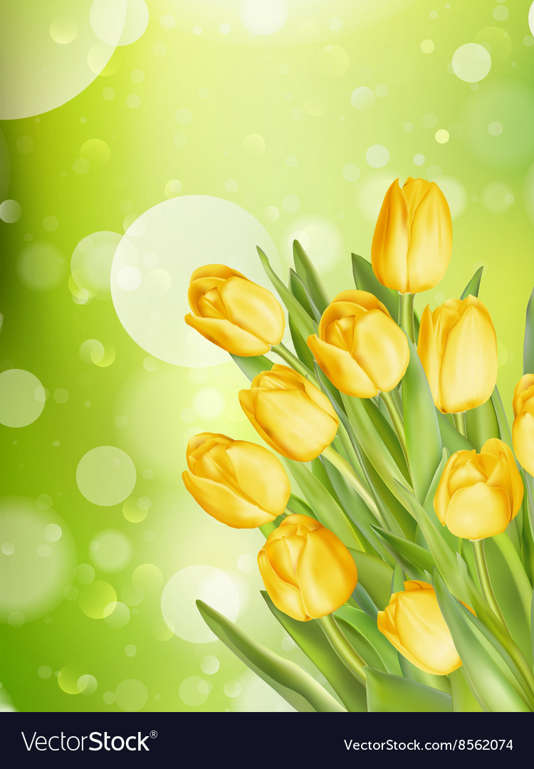 Bouquet Tulips Eps 10 Royalty Free Vector Image Bouquet Tulips Eps 10 Royalty Free Vector Image