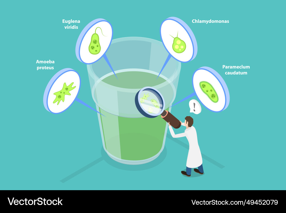 3d isometric flat Royalty Free Vector Image - VectorStock