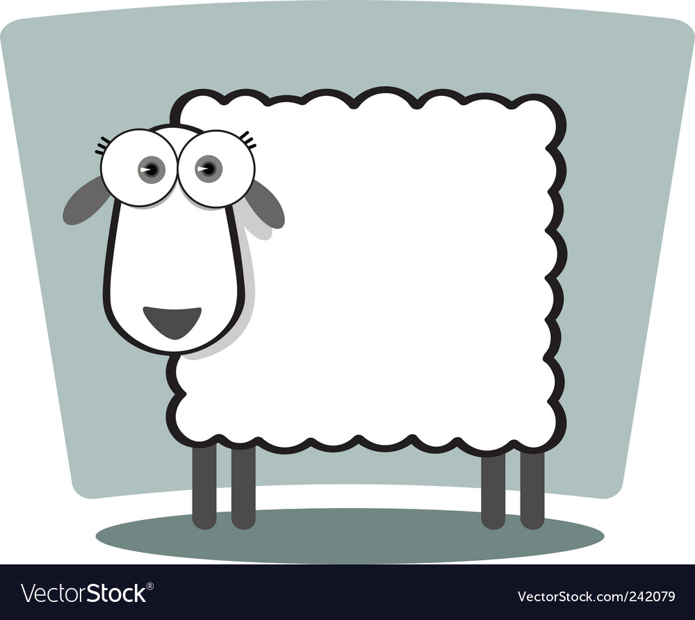 Square animal sheep