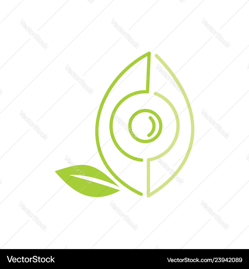 Leaf logo design template isolated Royalty Free Vector Image