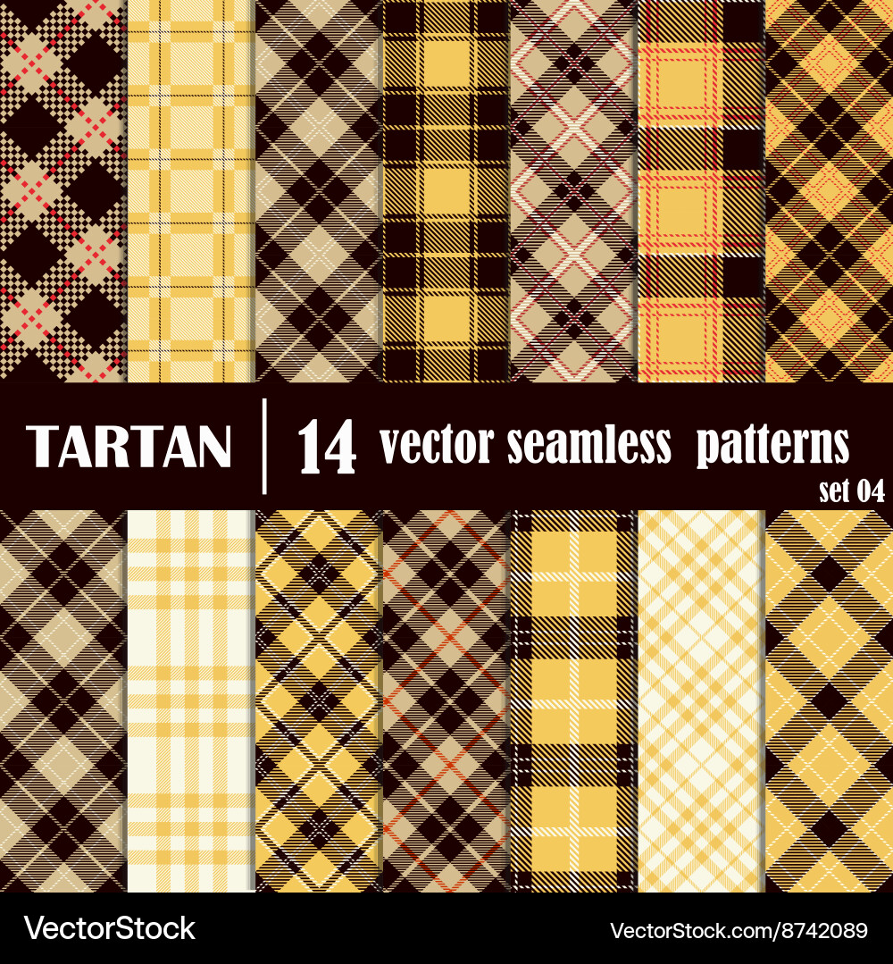 Set tartan seamless pattern Royalty Free Vector Image