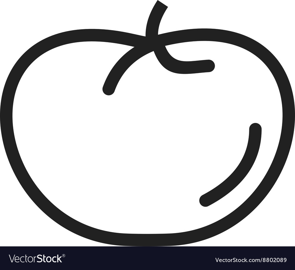 Tomato Royalty Free Vector Image - VectorStock