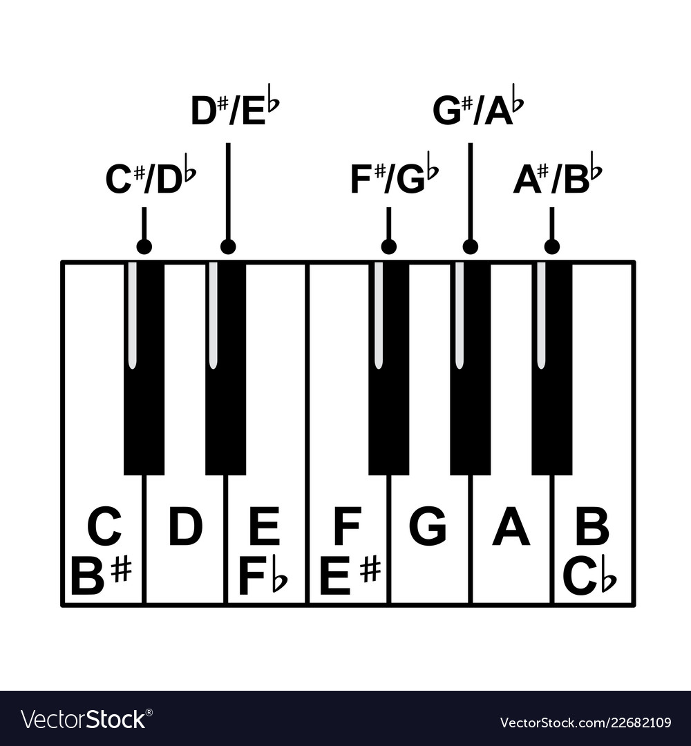 Piano keyboard diagram - layout Royalty Free Vector Image