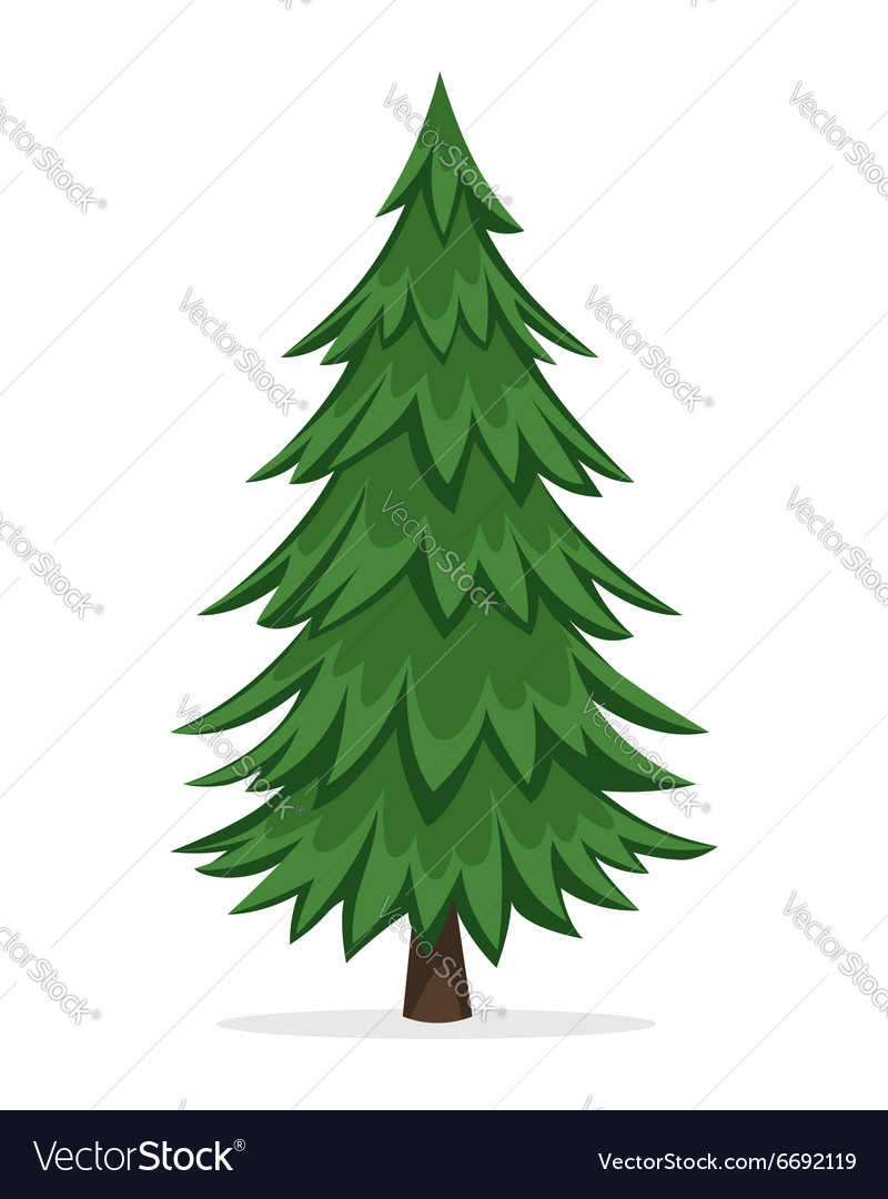 pine tree vector clipart images