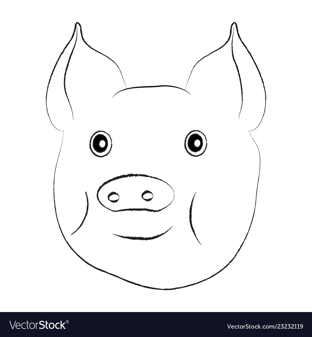 Pig head isolated on white Royalty Free Vector Image