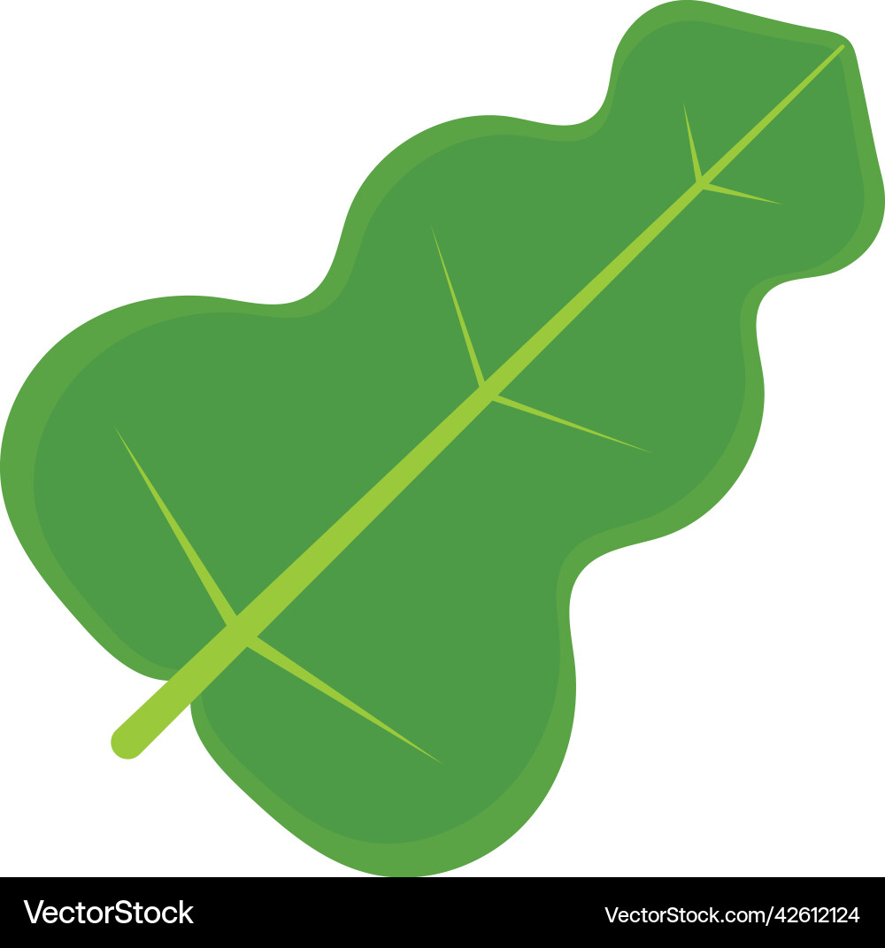 Spinach leaf icon Royalty Free Vector Image - VectorStock