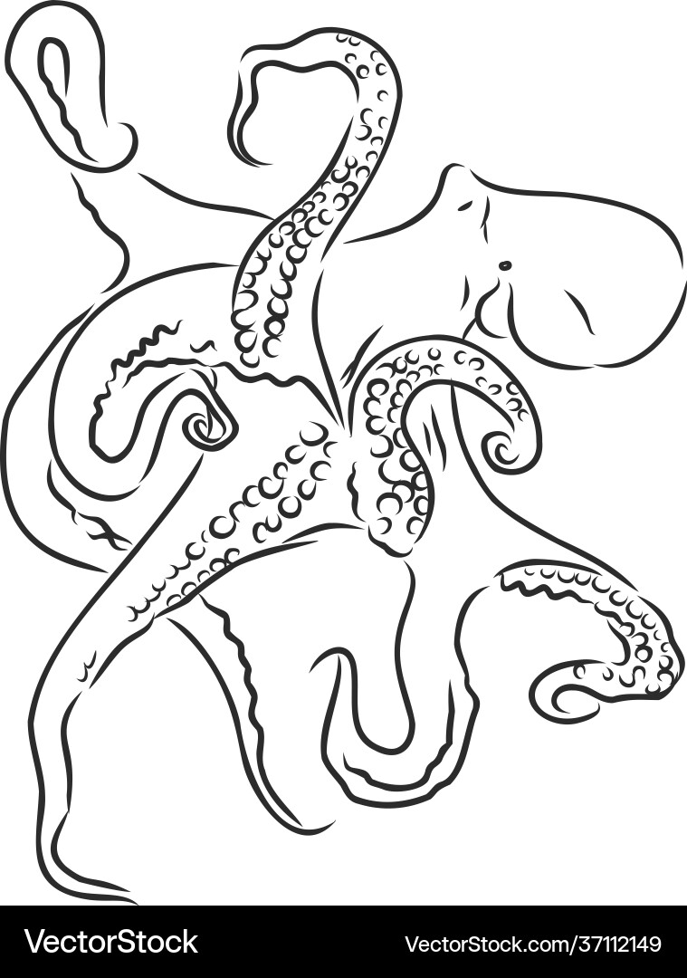 Hand-drawn octopus isolate on white background Vector Image