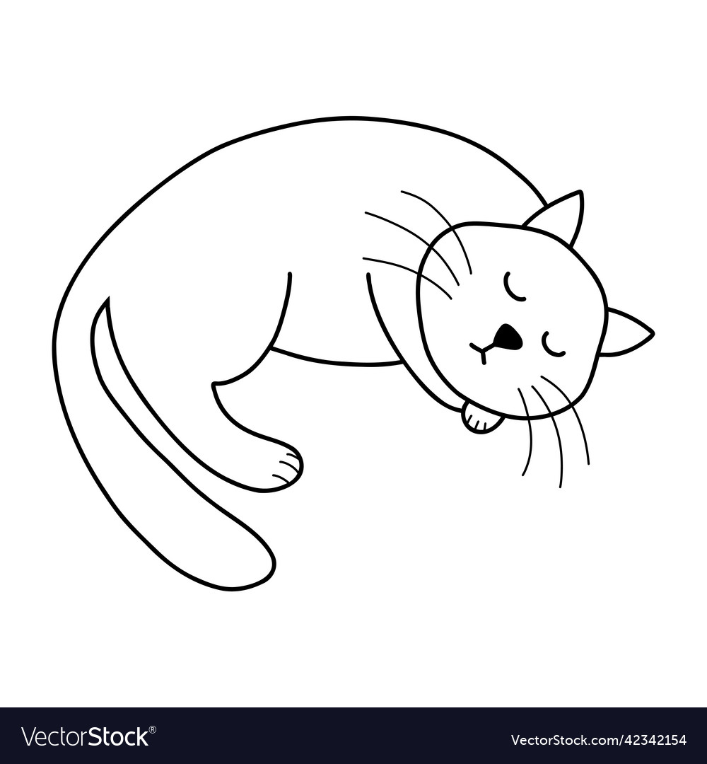 Doodle sleeping cat Royalty Free Vector Image - VectorStock