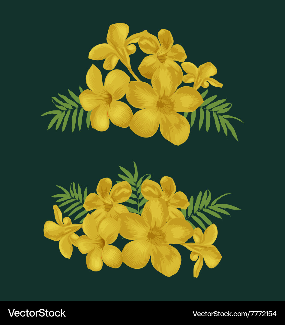 Flower Royalty Free Vector Image - VectorStock