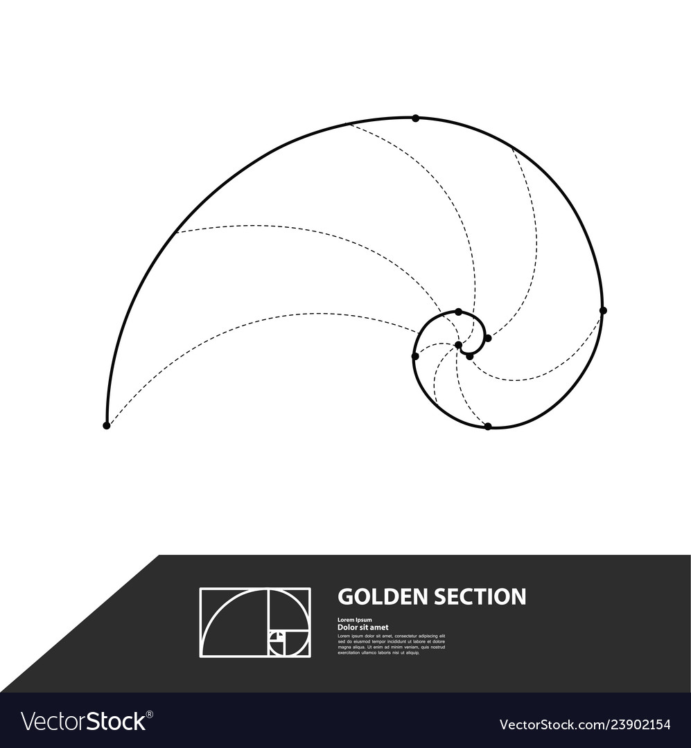 Golden ratio for creative design section Vector Image