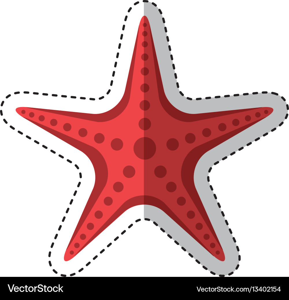Starfish animal isolated icon Royalty Free Vector Image