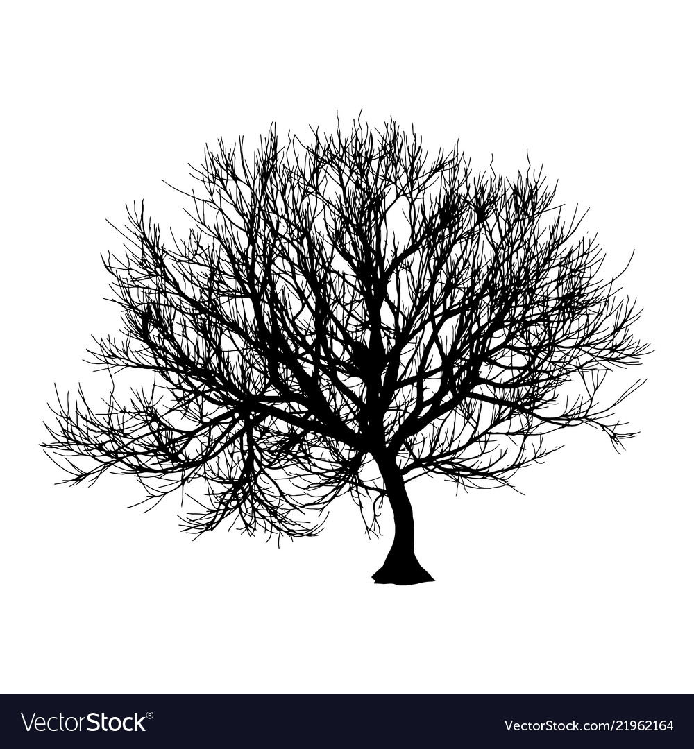 Black dry tree winter or autumn silhouette Vector Image