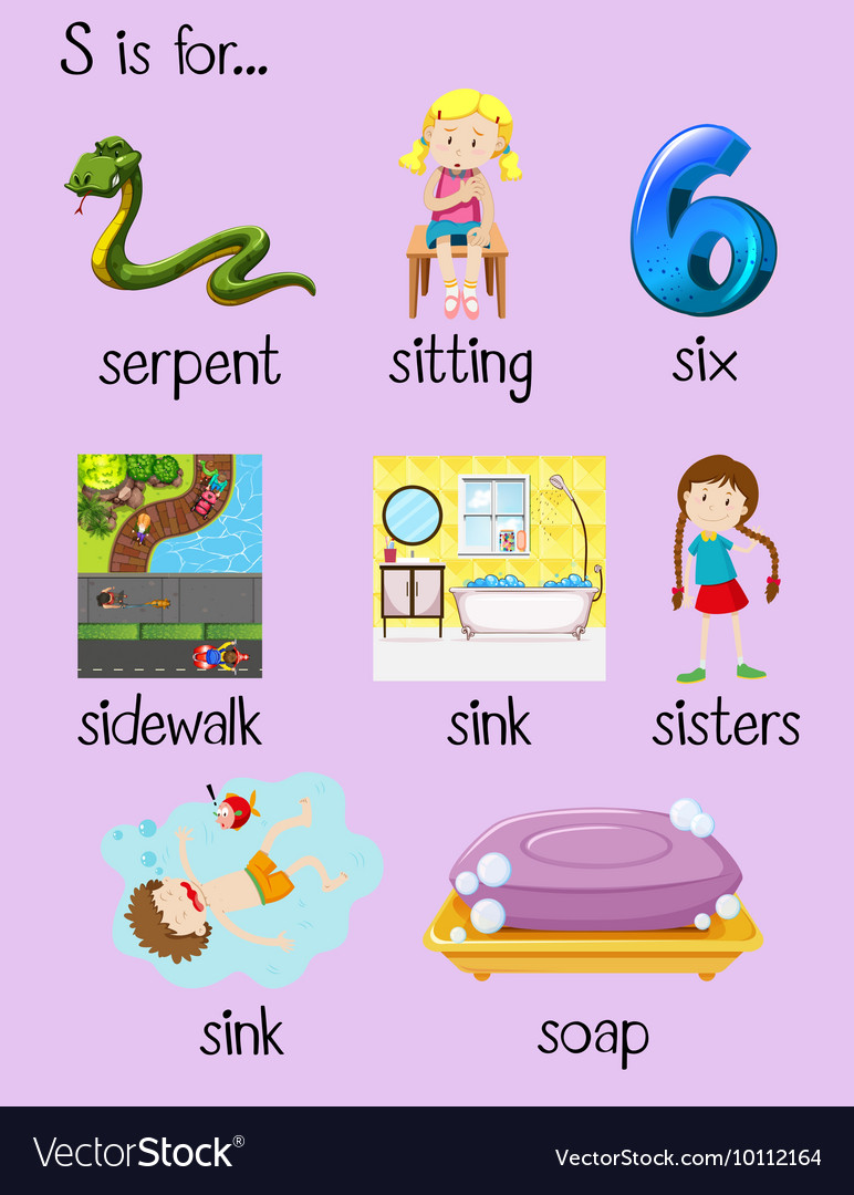 many-words-begin-with-alphabet-s-royalty-free-vector-image