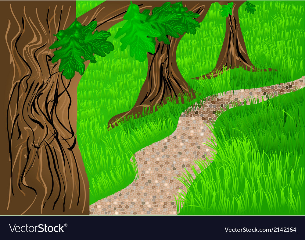 Download Path and trees Royalty Free Vector Image - VectorStock