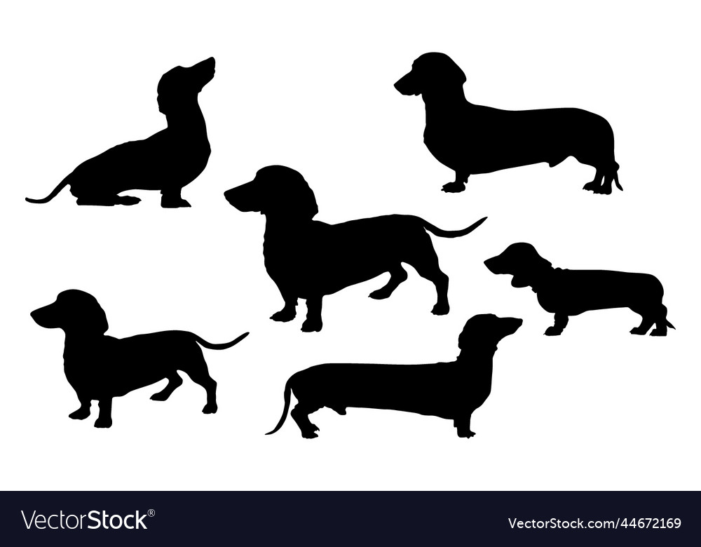 Dachshund silhouettes set of 5 dog icon Royalty Free Vector