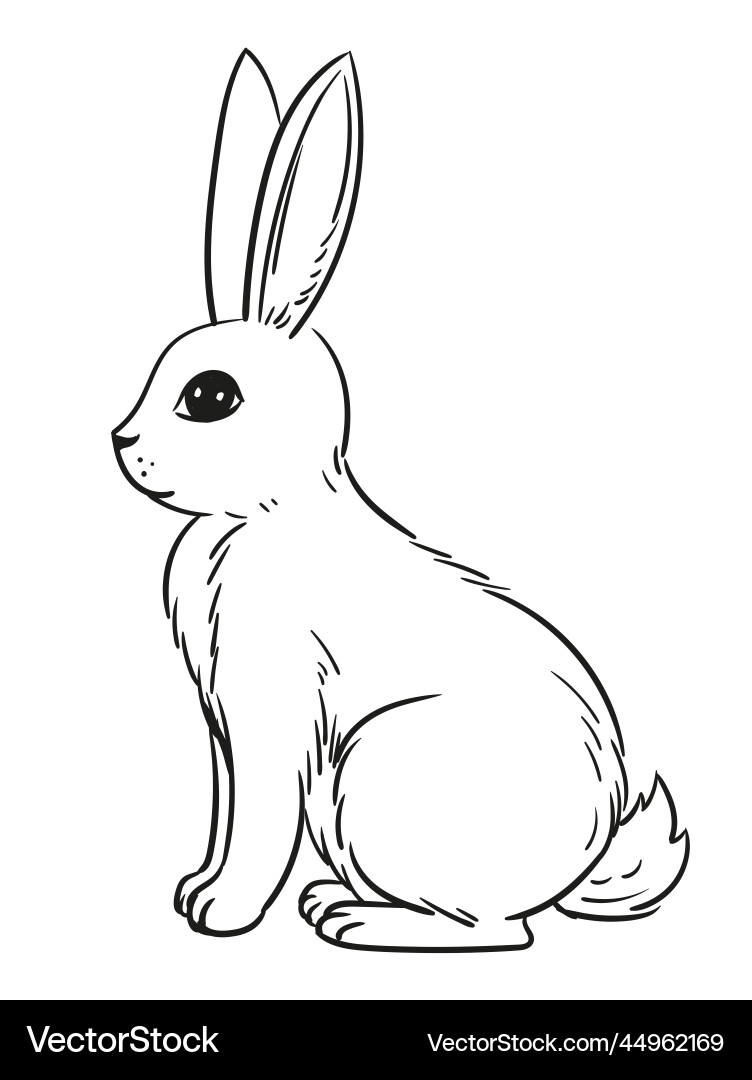 Various cute bunnies spring easter bunny Vector Image