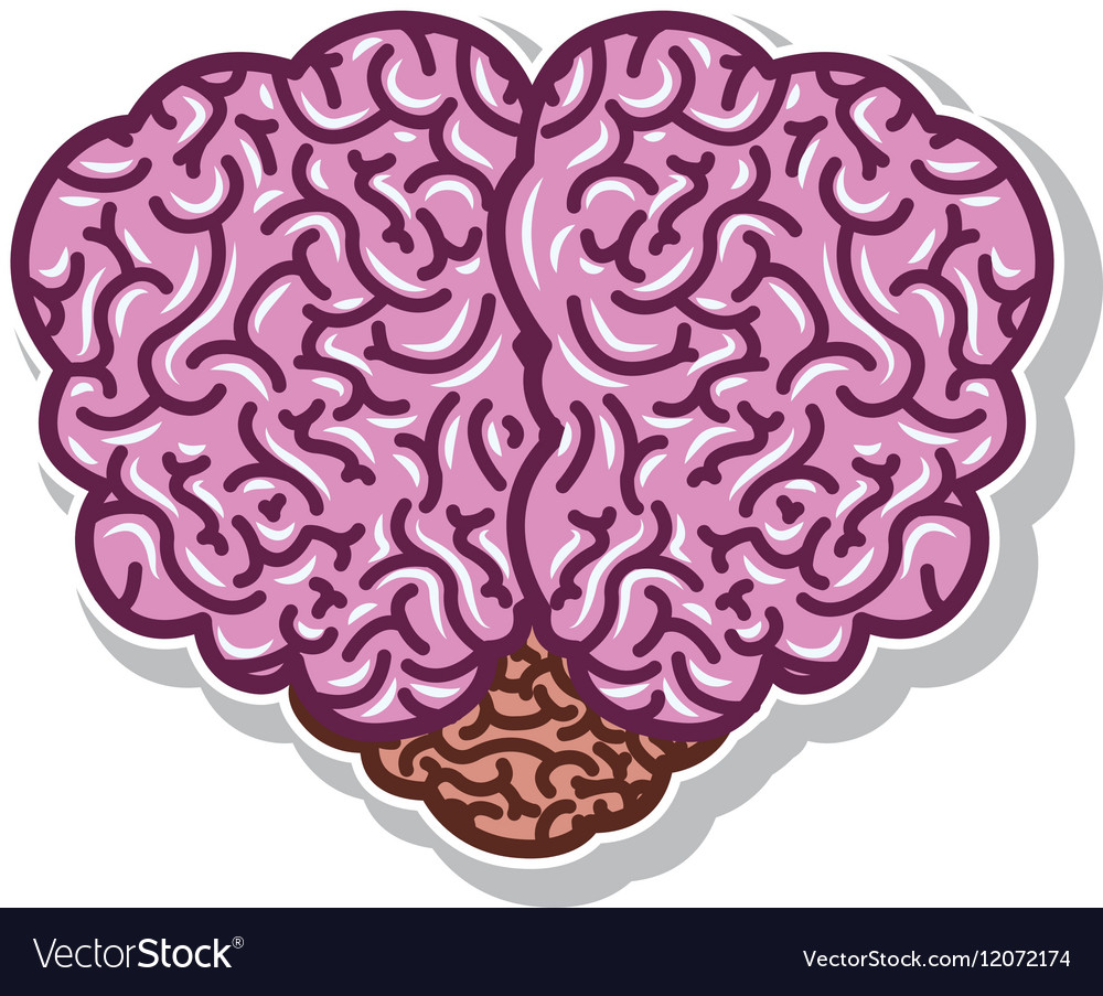 Brain silhouette light purple color with top view Vector Image