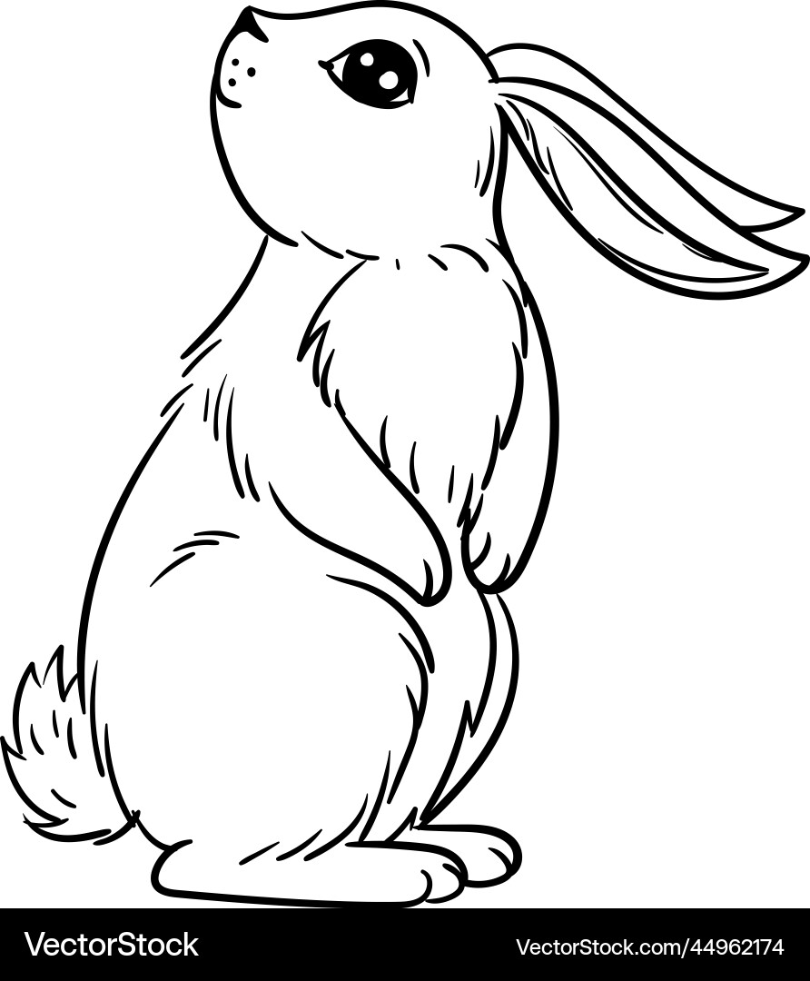 Various cute bunnies spring easter bunny Vector Image