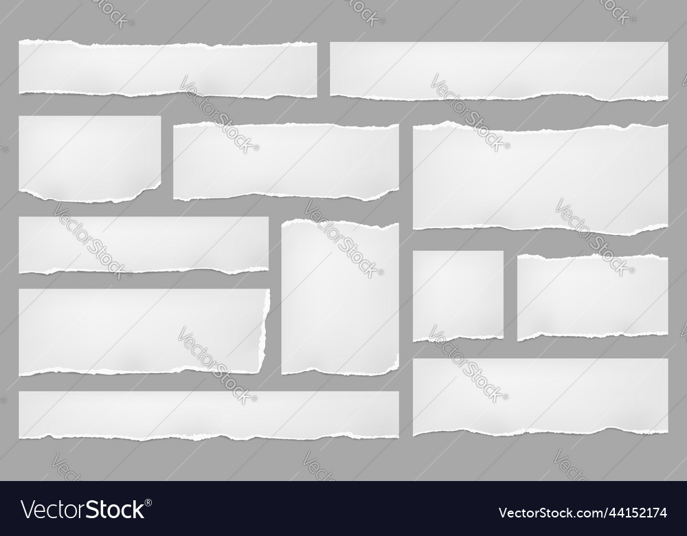 White torn paper sheets note page ripped scraps Vector Image