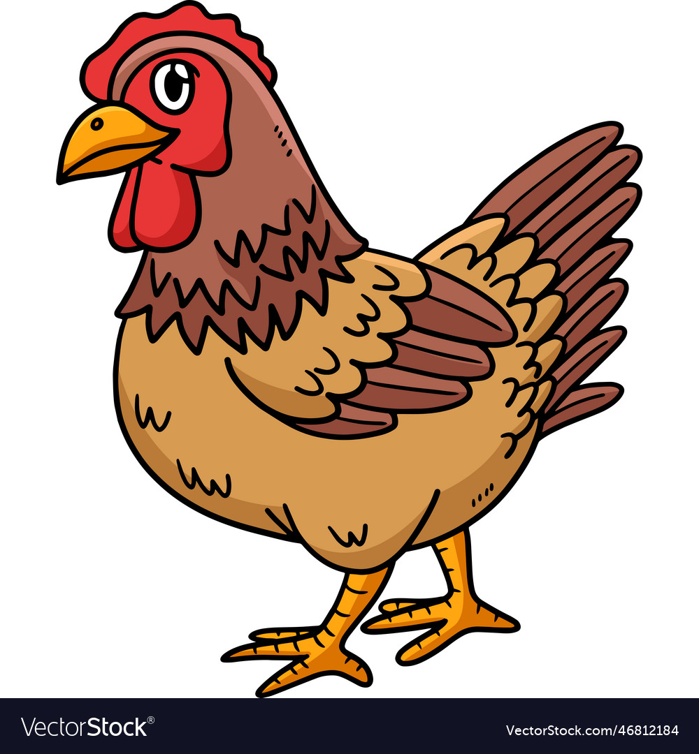 Chicken cartoon colored clipart Royalty Free Vector Image