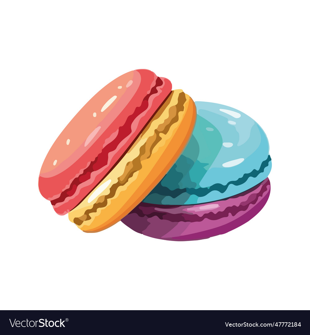 Gourmet macaroon snack sweet Royalty Free Vector Image