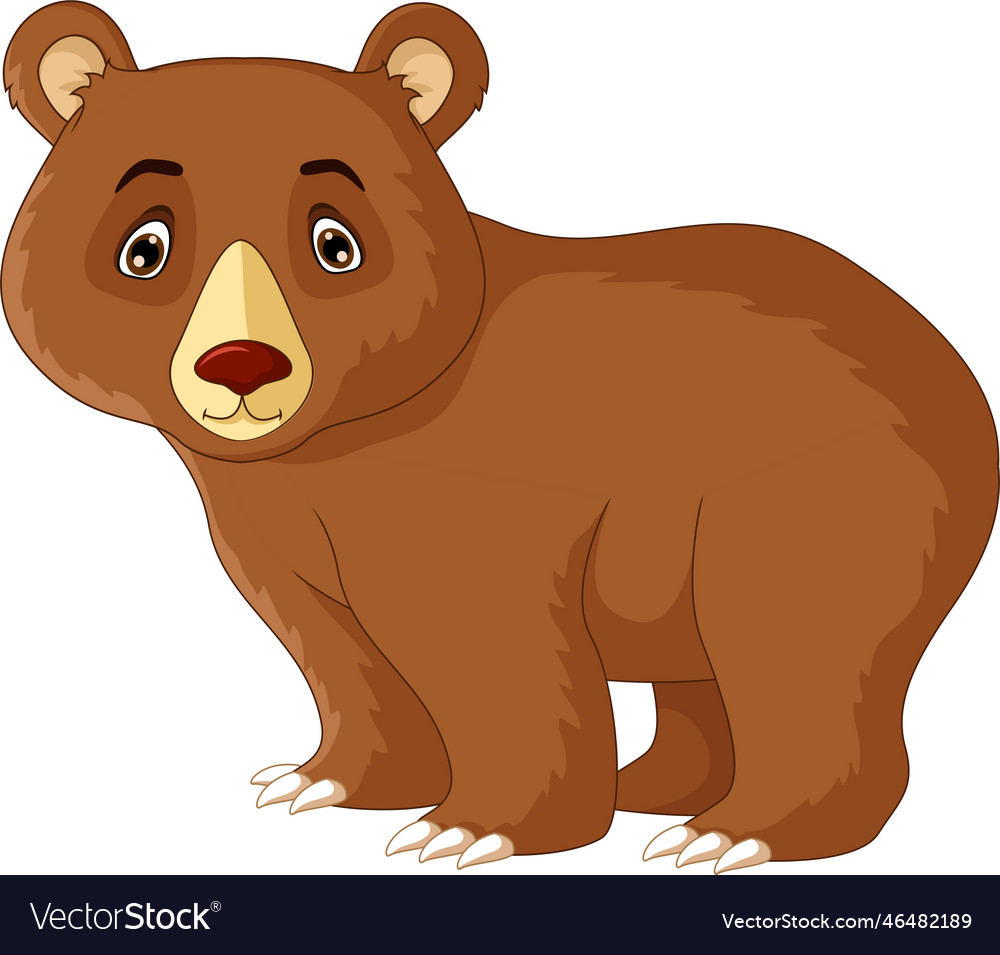 Cute brown bear cartoon posing Royalty Free Vector Image