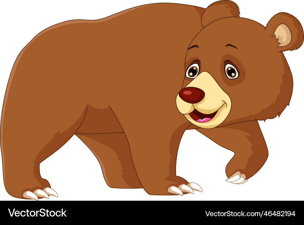 Cute brown bear cartoon posing Royalty Free Vector Image
