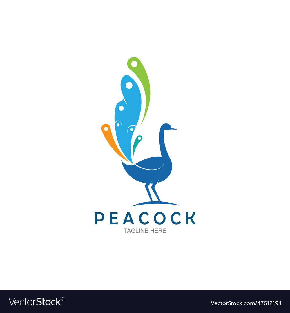 Peacock logo design template Royalty Free Vector Image