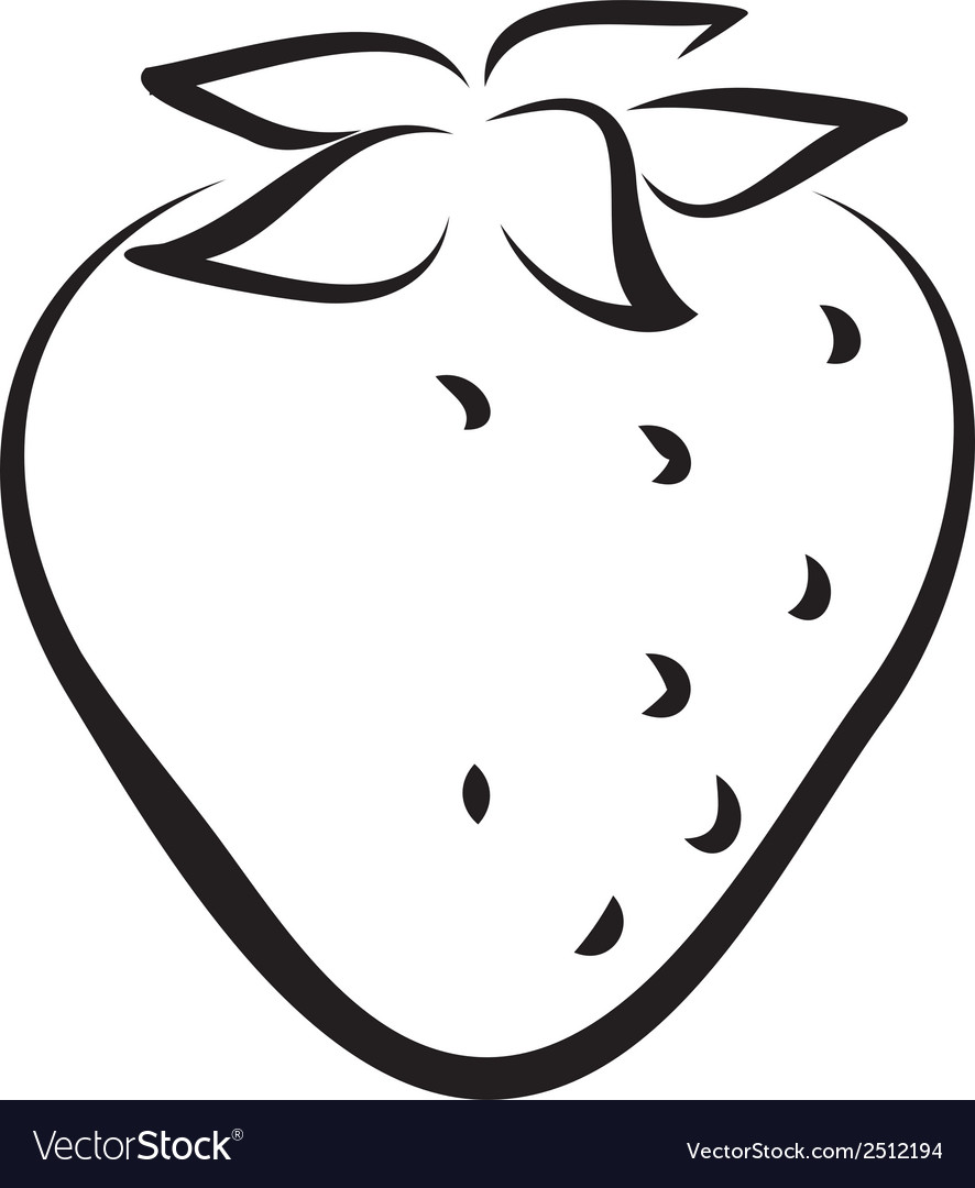 Strawberry Royalty Free Vector Image - VectorStock