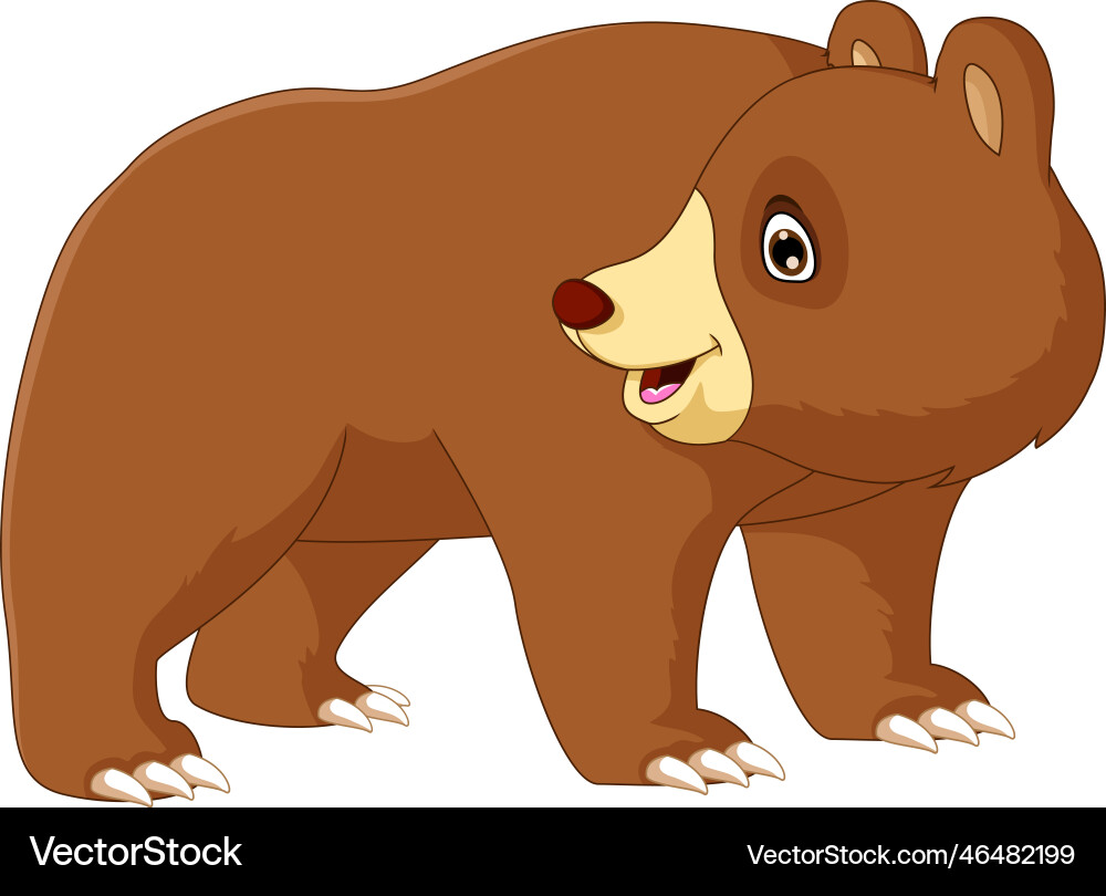 Cute brown bear cartoon posing Royalty Free Vector Image