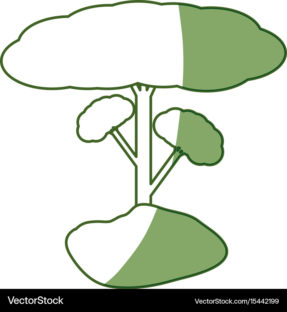 Isolated big tree Royalty Free Vector Image - VectorStock