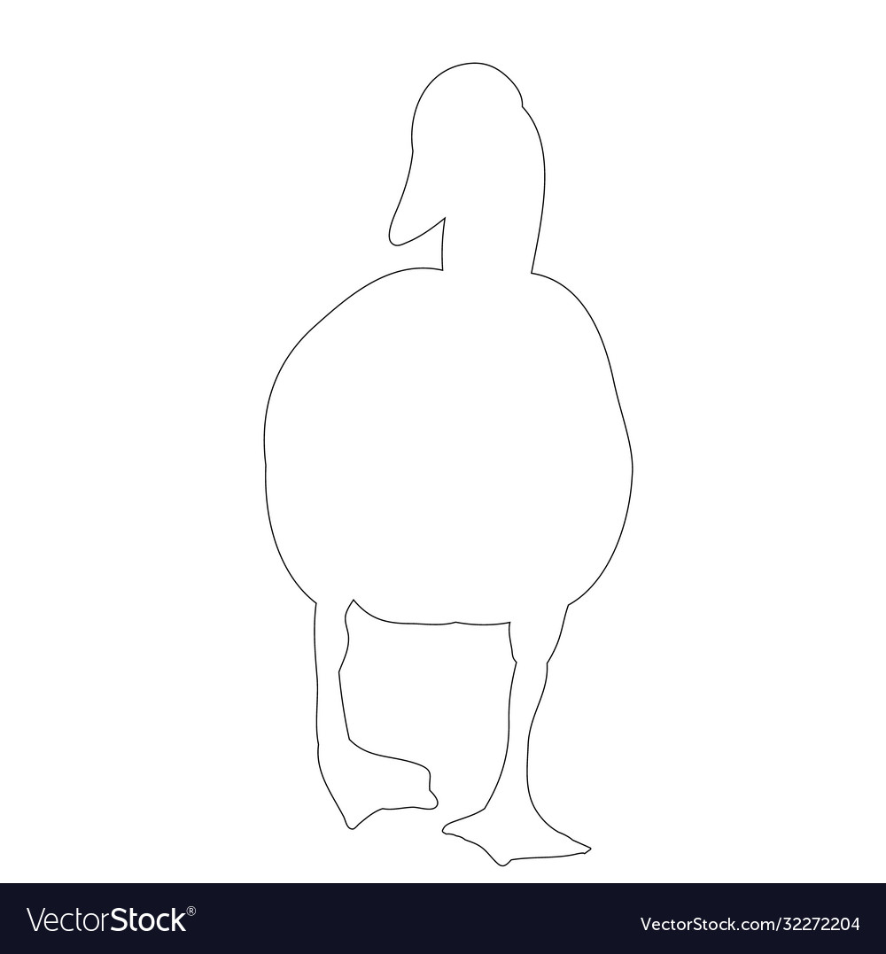 Isolated contour duck on white background Vector Image