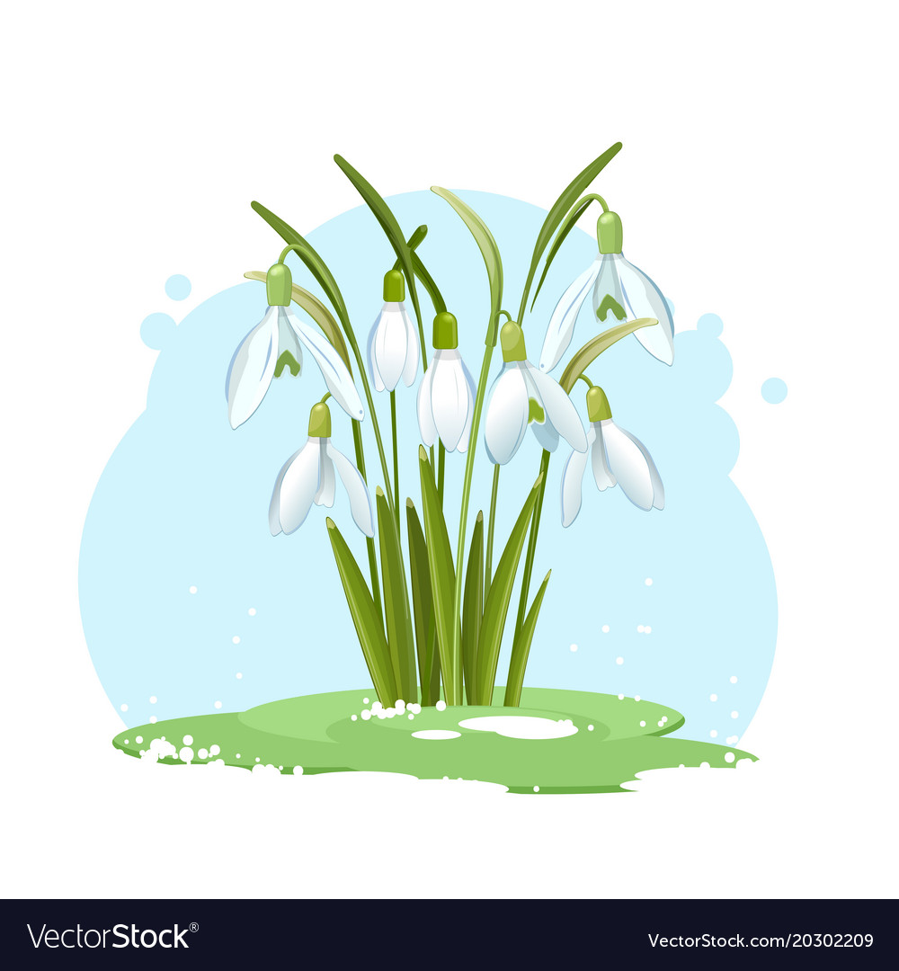 Free Free 183 Snowdrop Flower Svg SVG PNG EPS DXF File