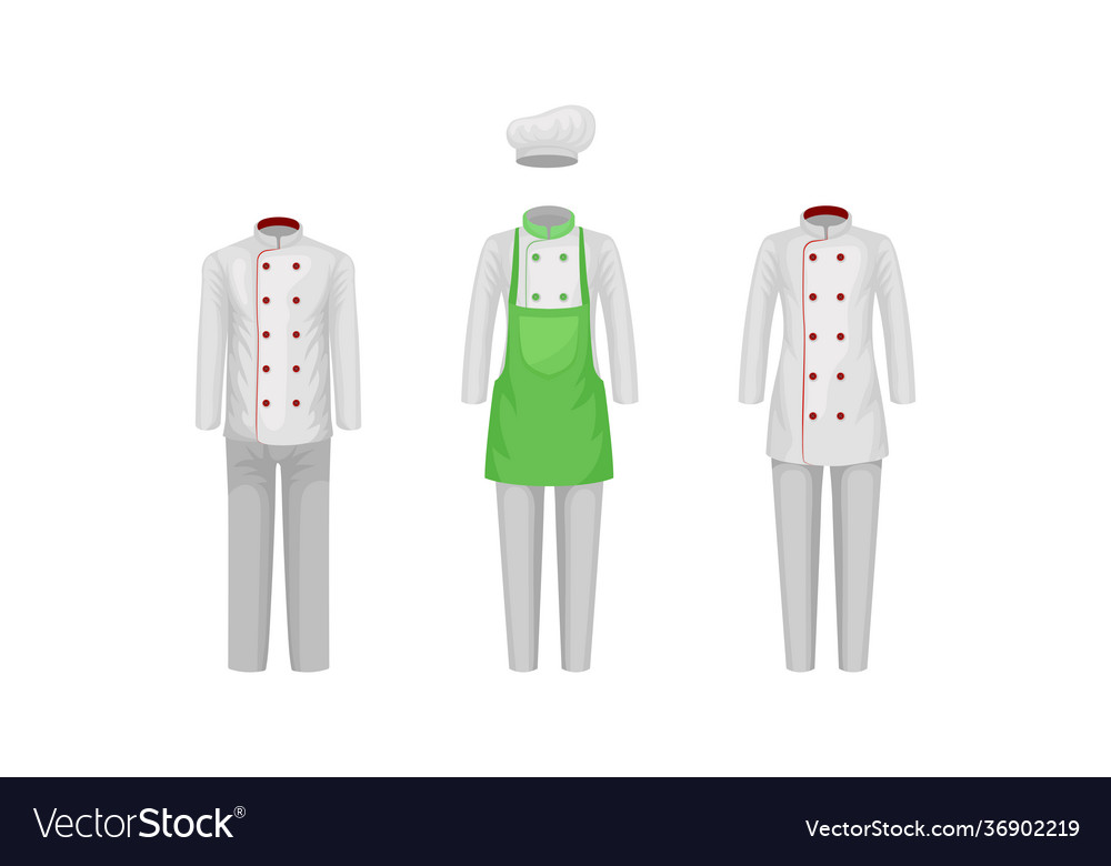 Workwear or professional staff clothing Royalty Free Vector