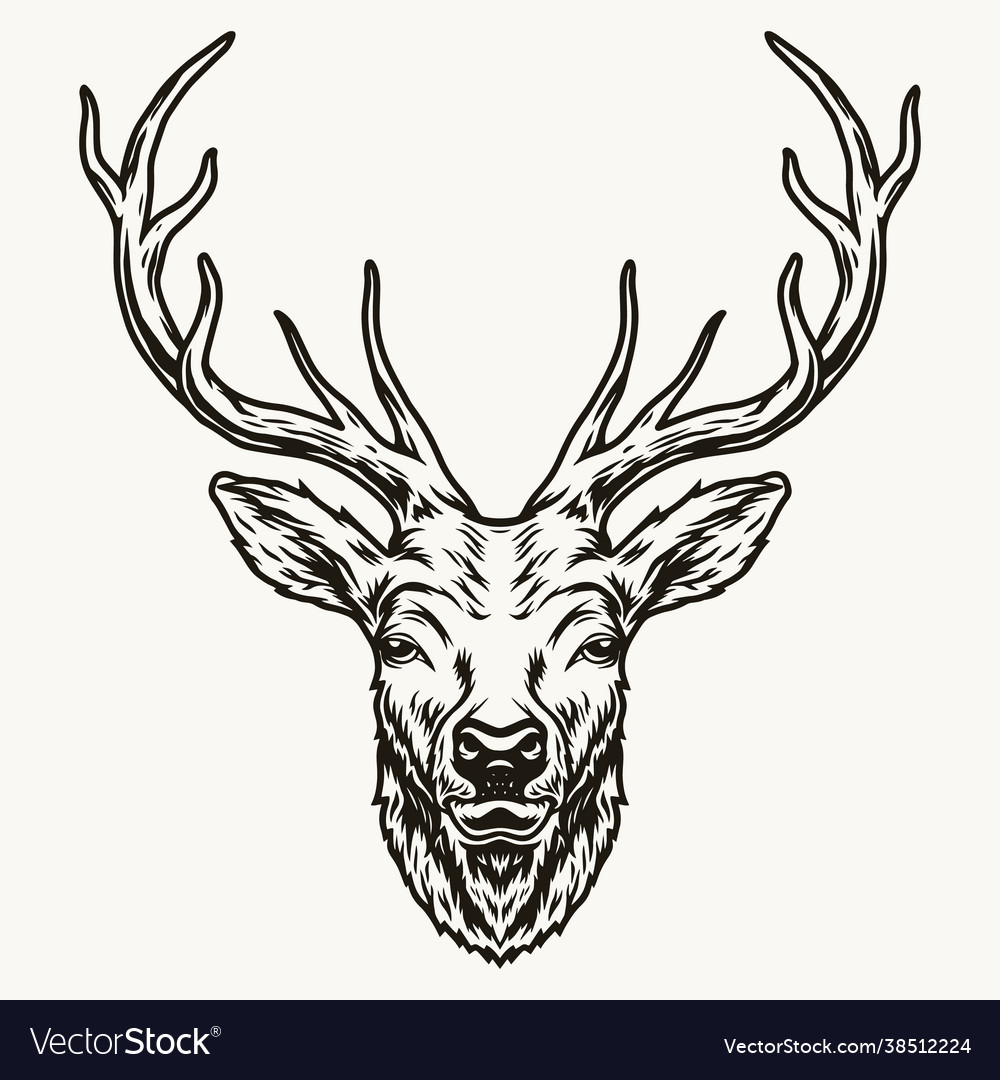 Deer head with elegant horns template Royalty Free Vector