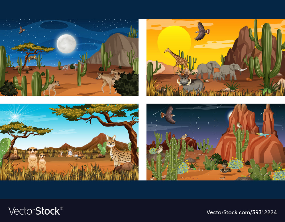 Different desert forest landscape scenes Vector Image