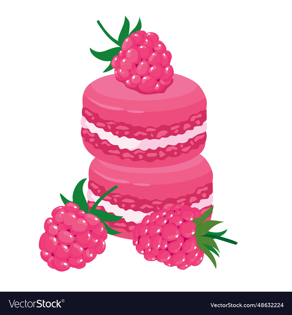 Macaroons raspberry Royalty Free Vector Image - VectorStock