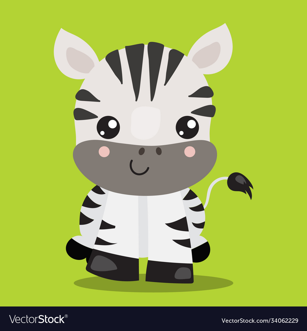 Zebra Babyparty