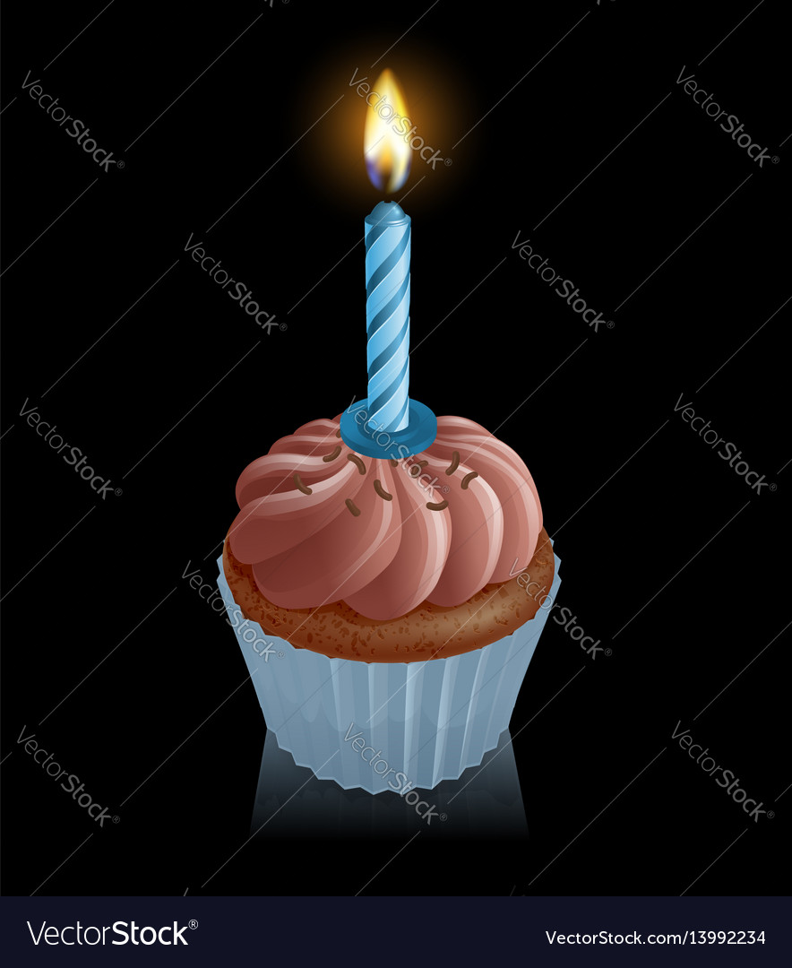 Chocolate Fairy Cake Cupcake With Birthday Candle Vector Image Chocolate Fairy Cake Cupcake With Birthday Candle Vector Image
