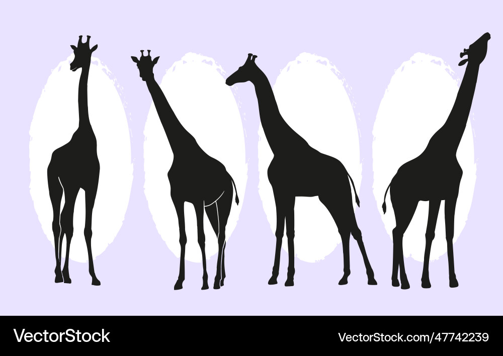 Flat giraffe silhouettes set Royalty Free Vector Image