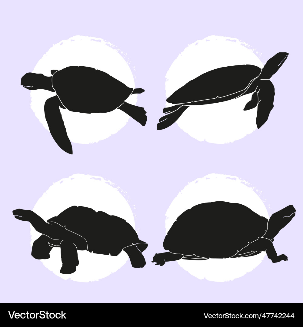 Flat turtle silhouettes set Royalty Free Vector Image