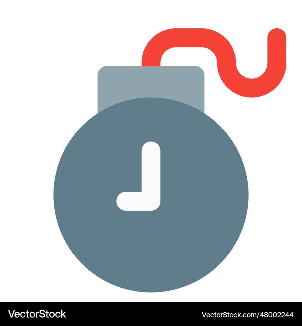 Server Bomb Network destruction with a program timer bomb Vector Image