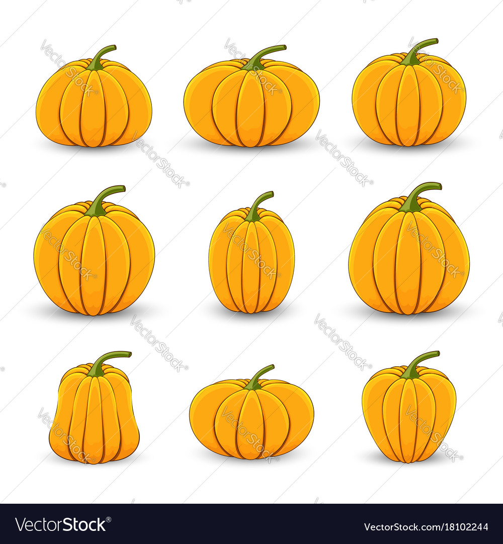 Set pumpkins in different sizes and shapes Vector Image