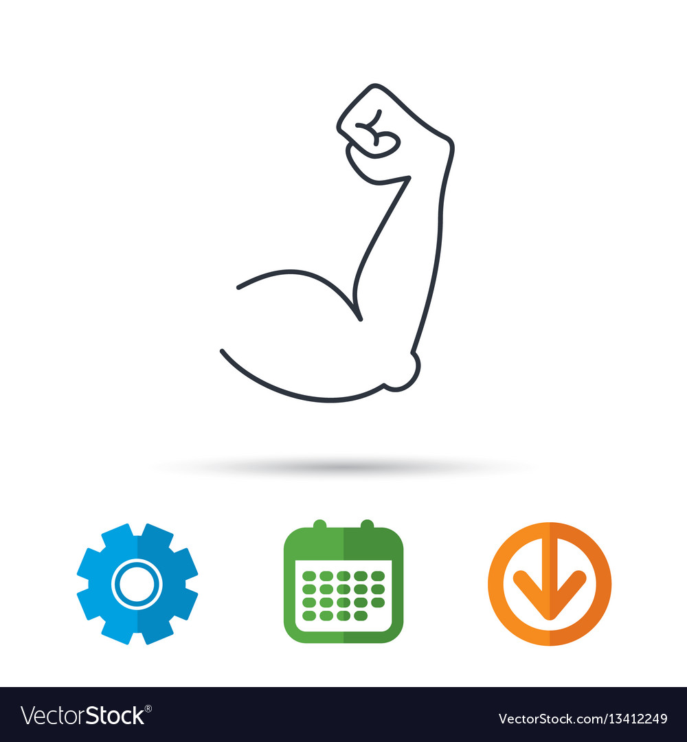 biceps muscle icon bodybuilder strong arm sign vector image