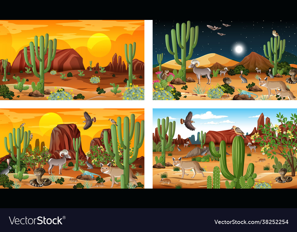 Different scenes with desert forest landscape Vector Image