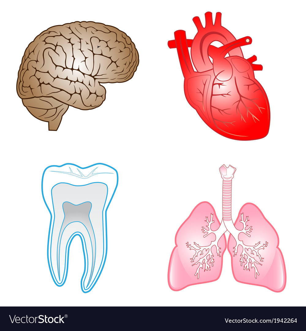 Medical icons