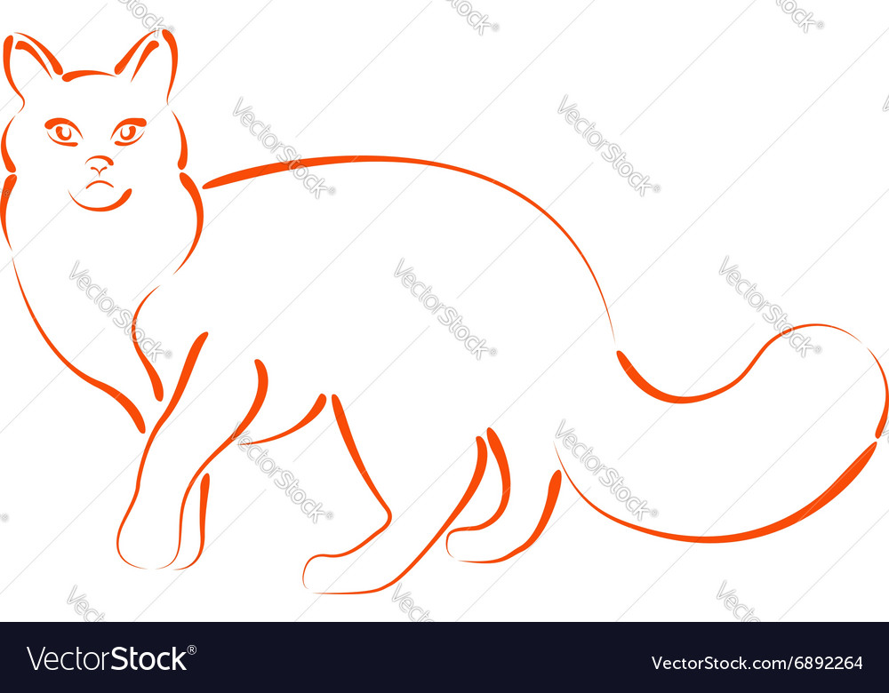 Sketched cat Royalty Free Vector Image - VectorStock