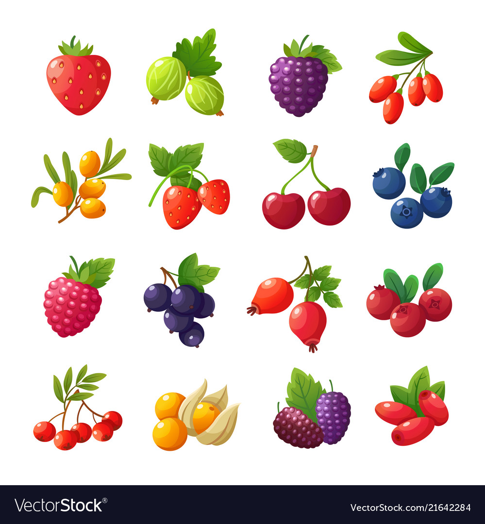 Cartoon berries strawberries raspberries Vector Image