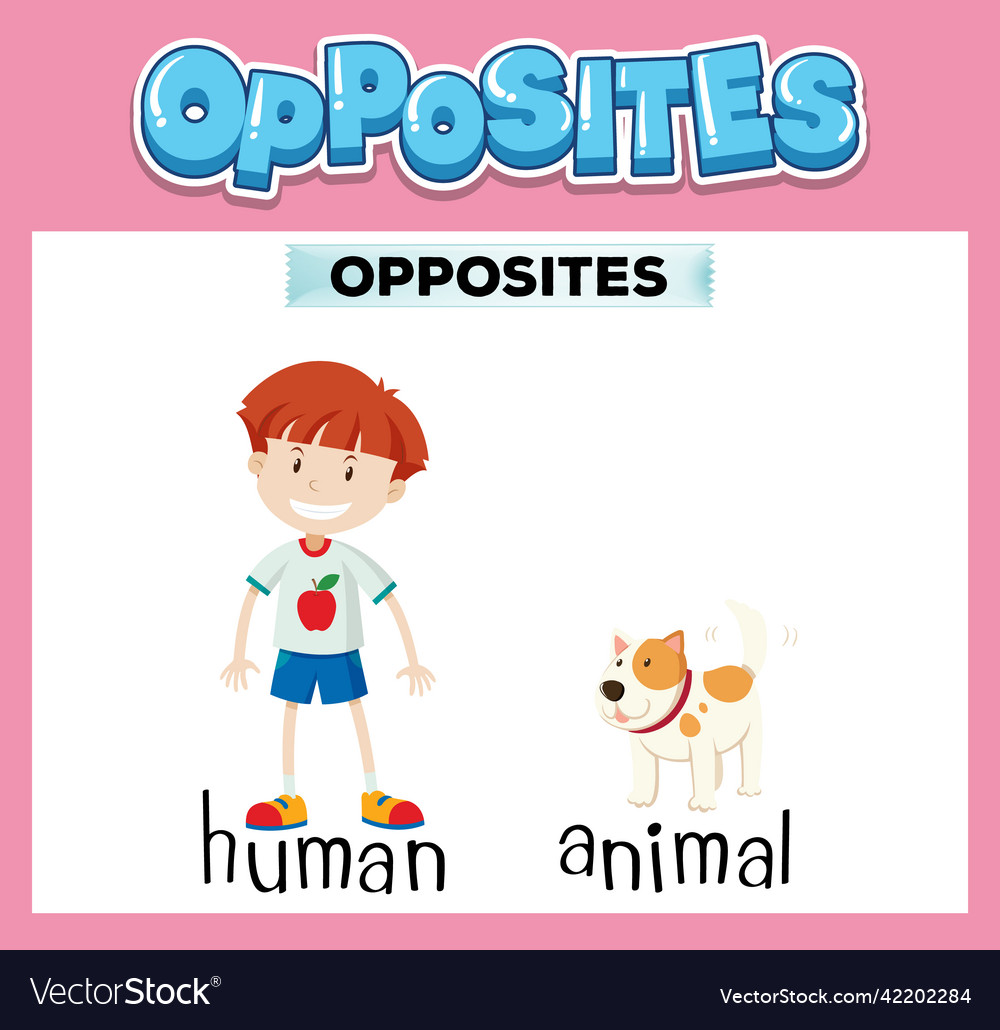 Opposite english words for kids Royalty Free Vector Image